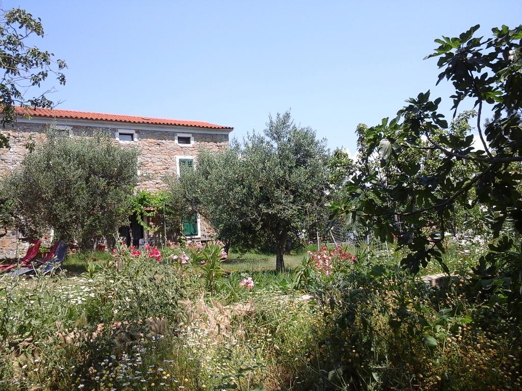 Kmetija Medljan Villa Izola Bagian luar foto